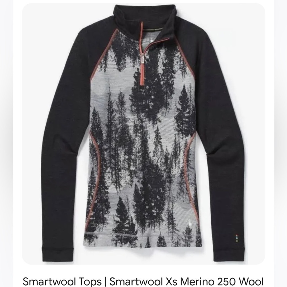 Smartwool Merino 250 Wool Sweater L
